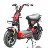 XE ĐẠP ĐIỆN NIJIA 133C