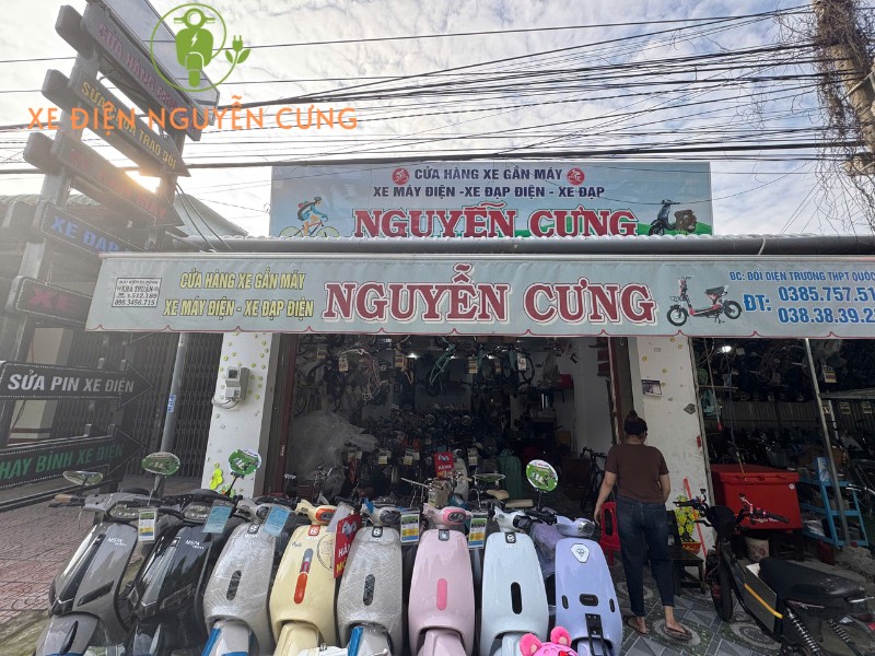Xe điện có cần bằng lái không